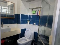 Blk 243 Pasir Ris Street 21 (Pasir Ris), HDB Executive #564504991